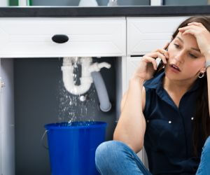 About Plumbers Pros Mulberry Grove, IL